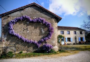 Wisteria heart